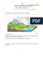 Ficha de Trabalho - Ciclo Da Água e Poluição