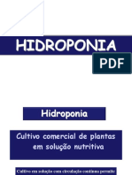 Aula4 Hidroponia1 2017 PDF