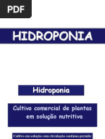 Aula4 Hidroponia1 2017 PDF