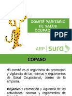 Capacitacion Copaso Generalidades