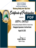 LAC Certificate - Judith Castillo PDF