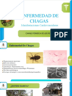 Enfermedad de Chagas