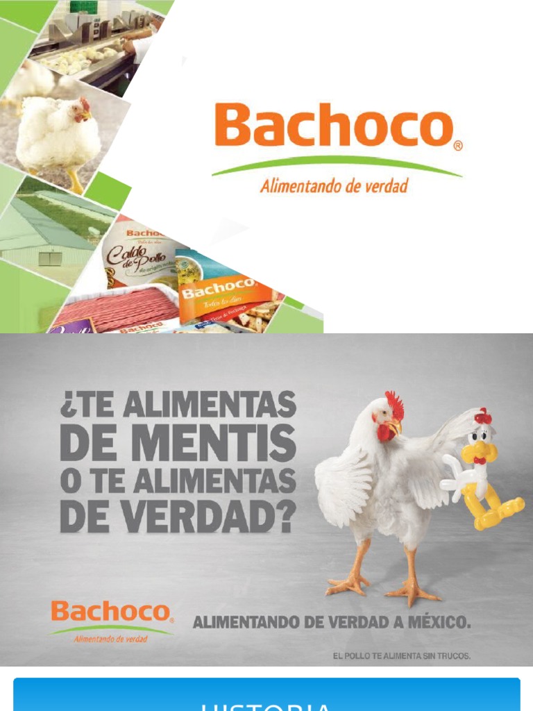 Bachoco SA DE CV (BMV) | PDF | Pollo | Bolsa de Nueva York