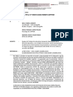 MM 19. Equipo de Trabajo de Naturaleza Temporal, Dependiente de La Dirección Ejecutiva PDF