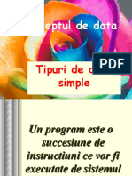 Conceptul de Data Pascal