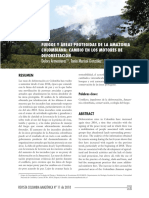 4 Fuegos y Reas Protegidas de La Amazonia Colombiana Cambio en Los Motores de Deforestacin