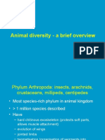 L16 Animal Diversity 2