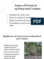 Significance of Forests in preventing Flood and Cyclones