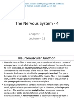 The Nervous System - 4: Chapter - 5 Lecture - 11