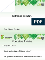 Extração de DNA