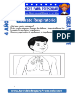 Aparato-Respiratorio-para-niños-de-4-años.pdf