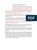 principios del D.P.CIVIL -B- 1-5-2020.docx