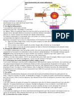 Les Étapes de Formation Des Roches Sédimentaire