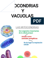 Mitocondrias y Vacuolas 