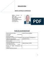 CV Fabiancastillogonzalez