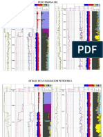 Análisis petrofísico Pozo Rabasa-301