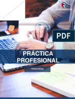 Práctica Profesional_2018 (1).pdf