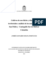 Cultivos de Uso Ilicito y Dinamicas Territoriales