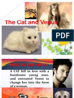 CAT & VENUS