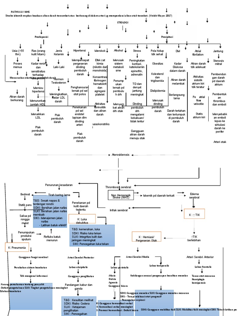 Pathway NHS | PDF