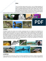 50 animales vertebrados y sus características.docx