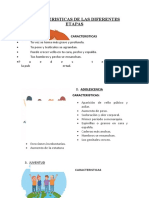 Caracteristicas de Las Diferentes Etapas - Angelo An