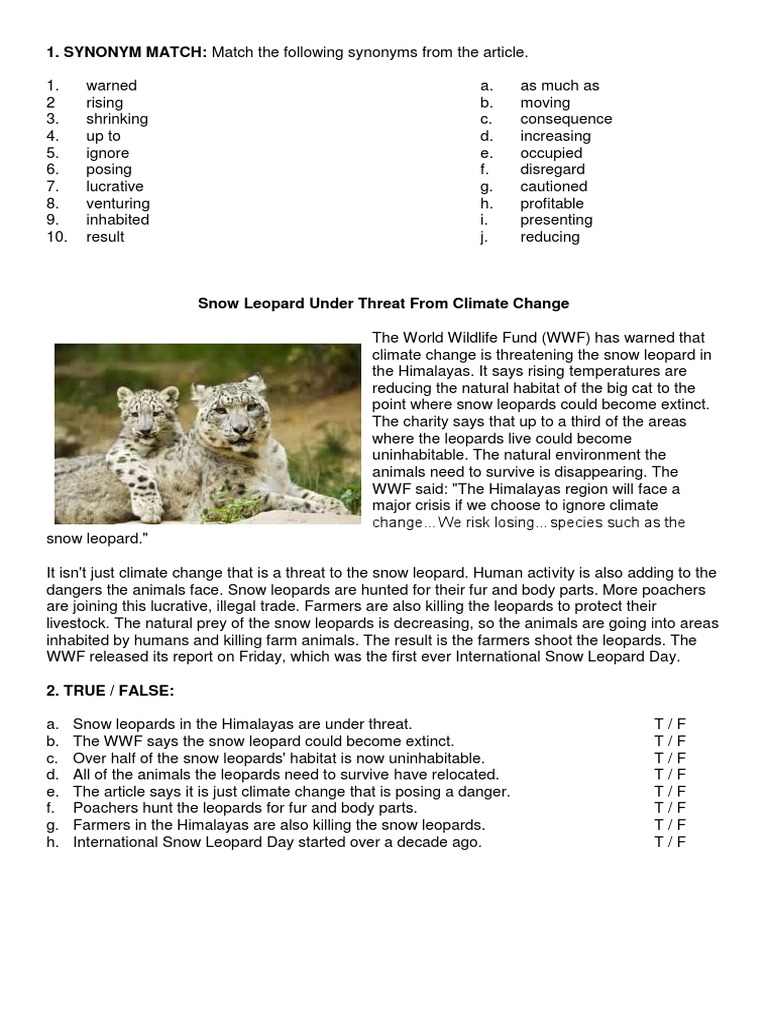 SYNONYM MATCH Match The Following Synonyms From The Article Download Free PDF Leopard