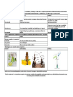 Cuadro Comparativo