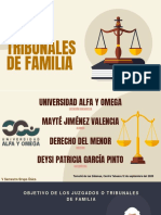 Los Tribunales de Familia