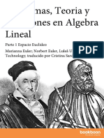 Problemas Teoria y Soluciones en Algebra Lineal PDF