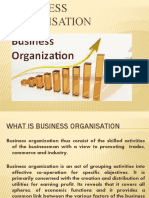 Business Organization Essentials