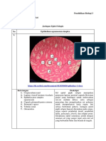 Laporan Epitel - Tri Wahyu .S. 4401419071 PDF