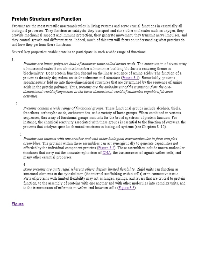 Protein Structure And Function Pdf Protein Structure Proteins