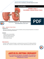 Diapositivas Modulo 4 Sem 2 Instrumentación