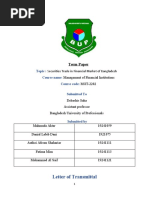 Letter of Transmittal: Term Paper