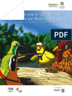 Guía Ilustrada de Aves Del Parque Municipal Natural Las Lajas, Belén de Los Andaquíes (Caquetá - Colombia) .