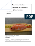 Tarea Fichas Técnicas