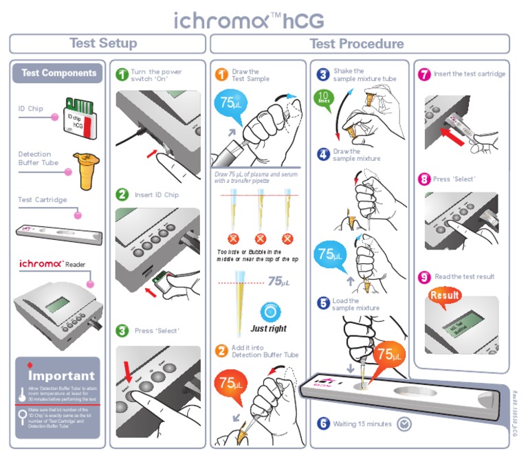 Step-by-step instructions for performing an hCG test using test ...