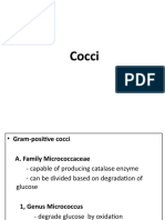 Cocci 