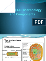  BACTERIAL CELL