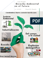 Ensayo Derecho Ambiental