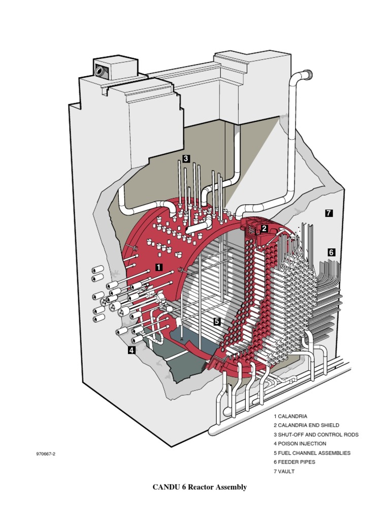 CANDU 6 Reactor Components Overview | PDF