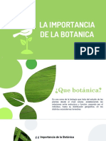 Importanca de La Botanica