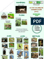 Folleto de AVC(especies RAP).pdf