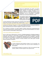 Ficha 9 AceitesyGrasas PDF