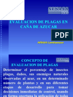 Evaluación de Plagas en Caña de Azucar