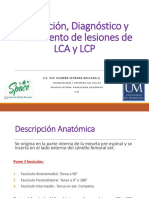 Lesión LCA y LCP 2020