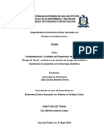 Fundamentacion y Cuidados Del Diagnostico de Enfermeria Riesgo de Shock LE. Ada Cristina Martinez Rivera PDF