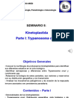 Seminario 8 PARTE 1. Kinetoplastida PDF