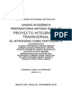 Proyecto Integrador Transversal Nitrogeno